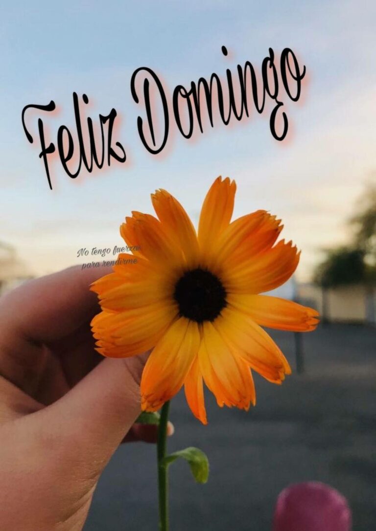 Mejores Im Genes Para Feliz Domingo Imagenesmuybonitas Net