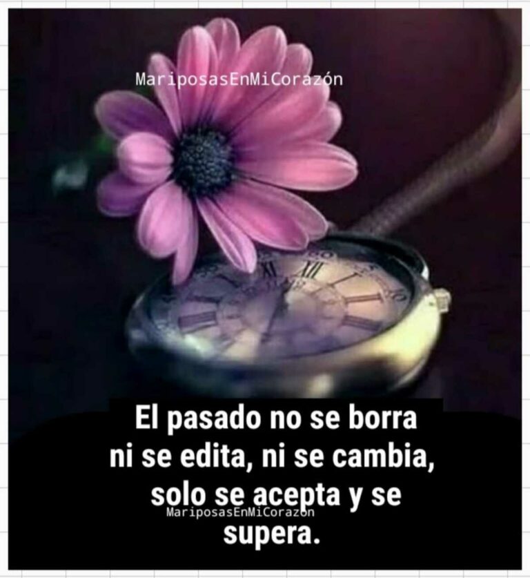 Frases Sobre La Vida Para Compartir Imagenesmuybonitas Net