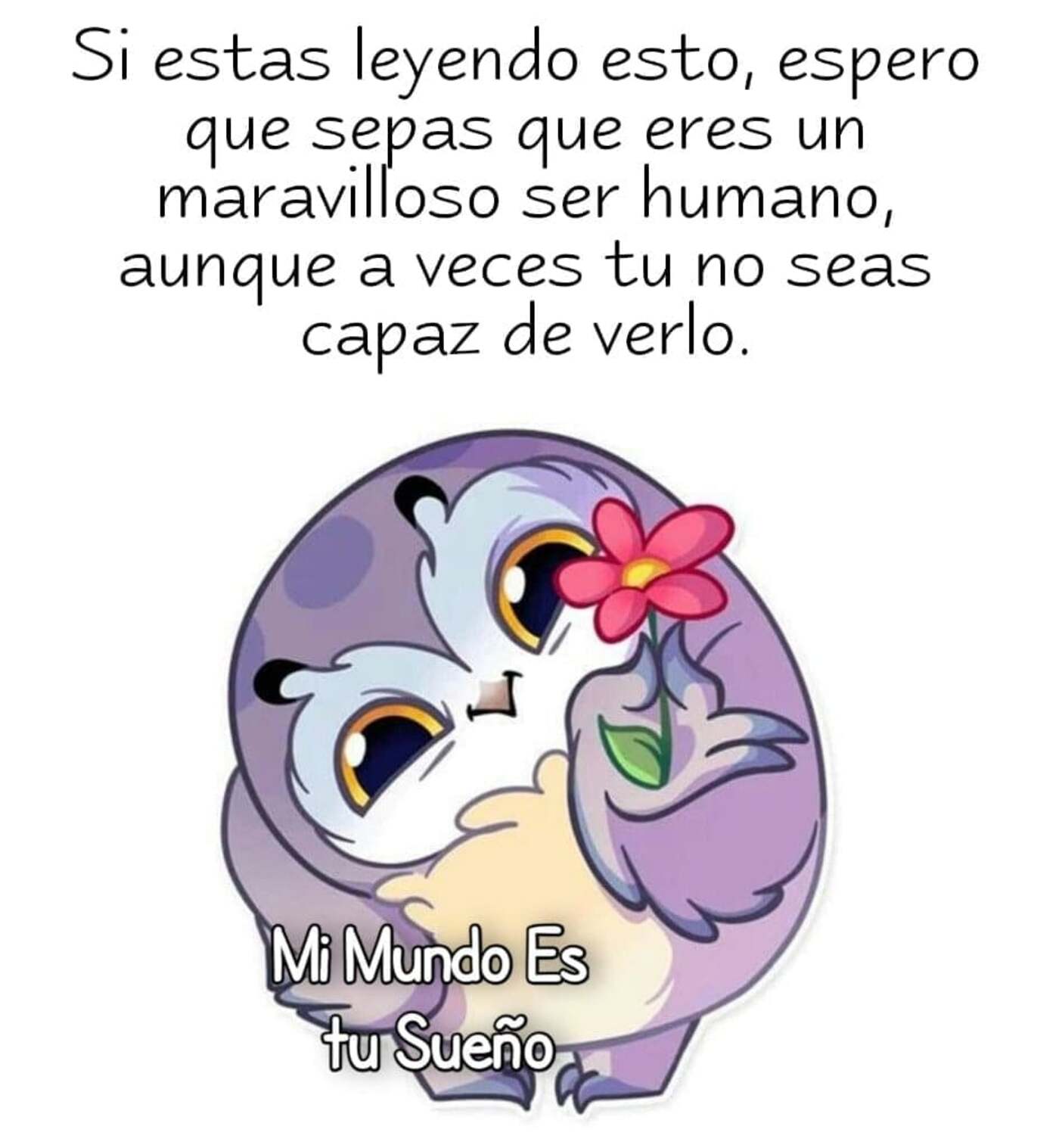 Frases Hermosas Para Compartir Imagenesmuybonitas Net