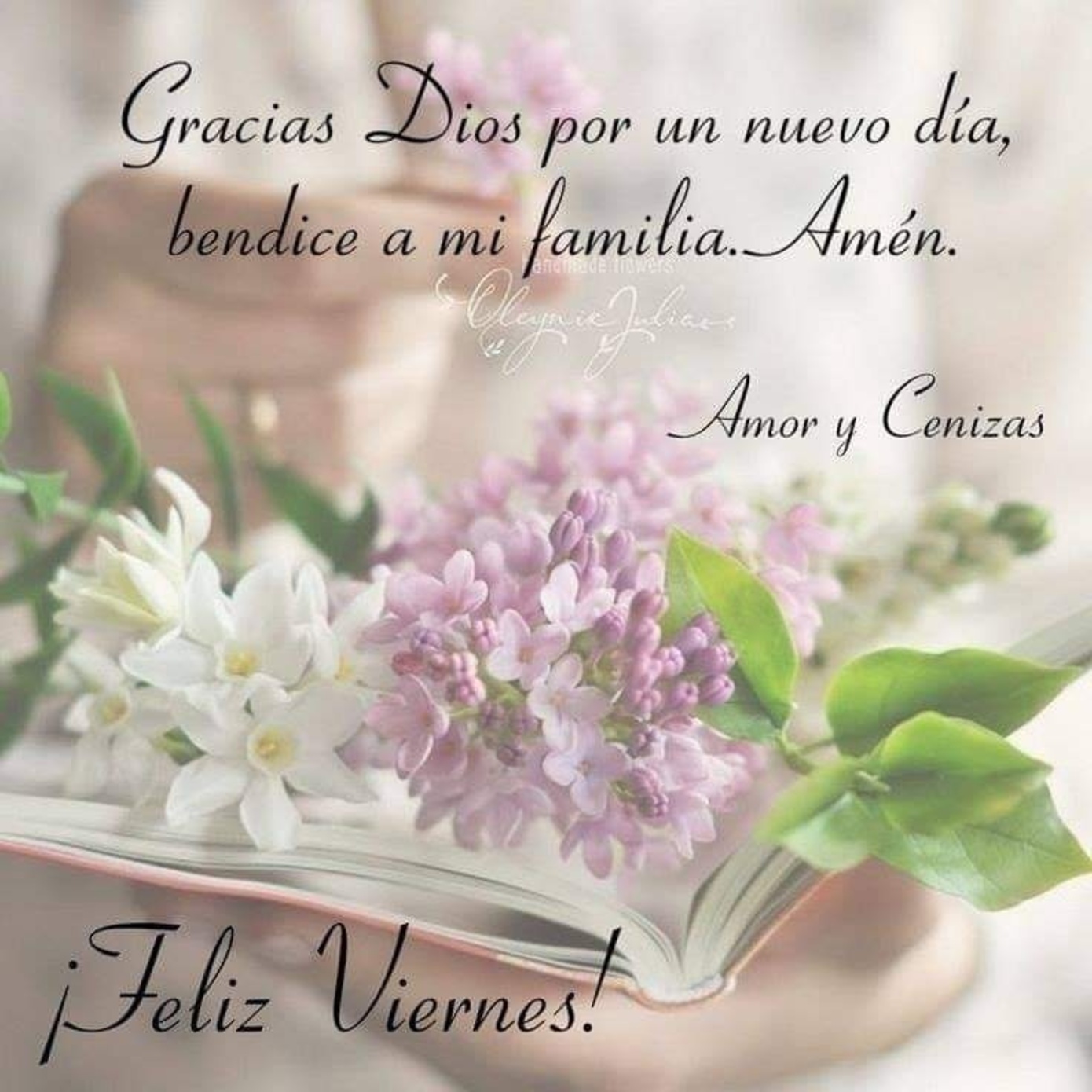 Im Genes Para Decir Muy Feliz Viernes Imagenesmuybonitas Net