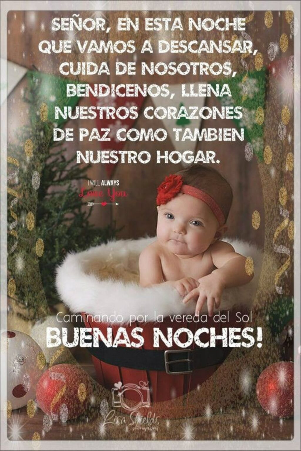 Im Genes De Buenas Noches Por Navidad Imagenesmuybonitas Net