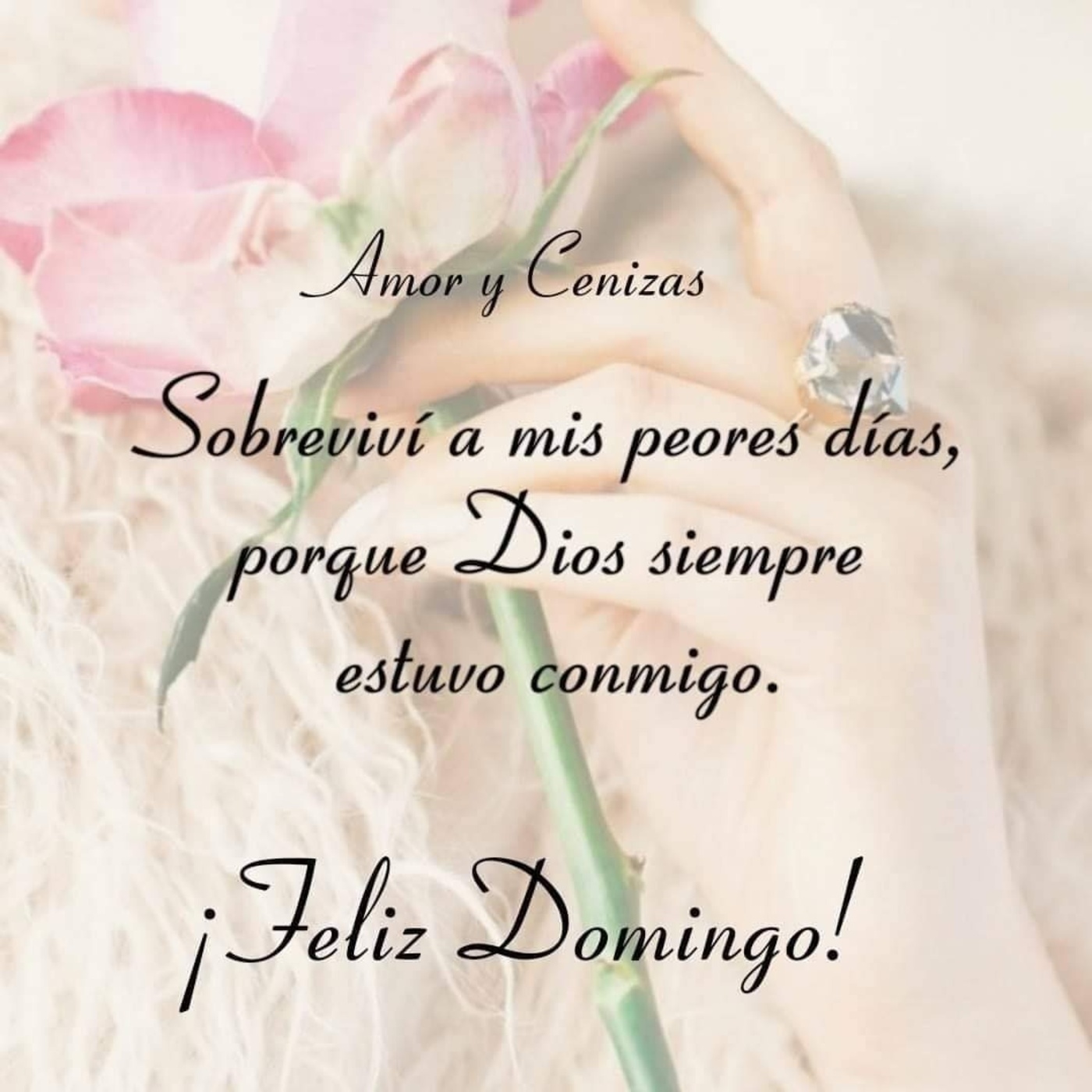 42+ Feliz Domingo imágenes muy hermosas - ImagenesMuyBonitas.net