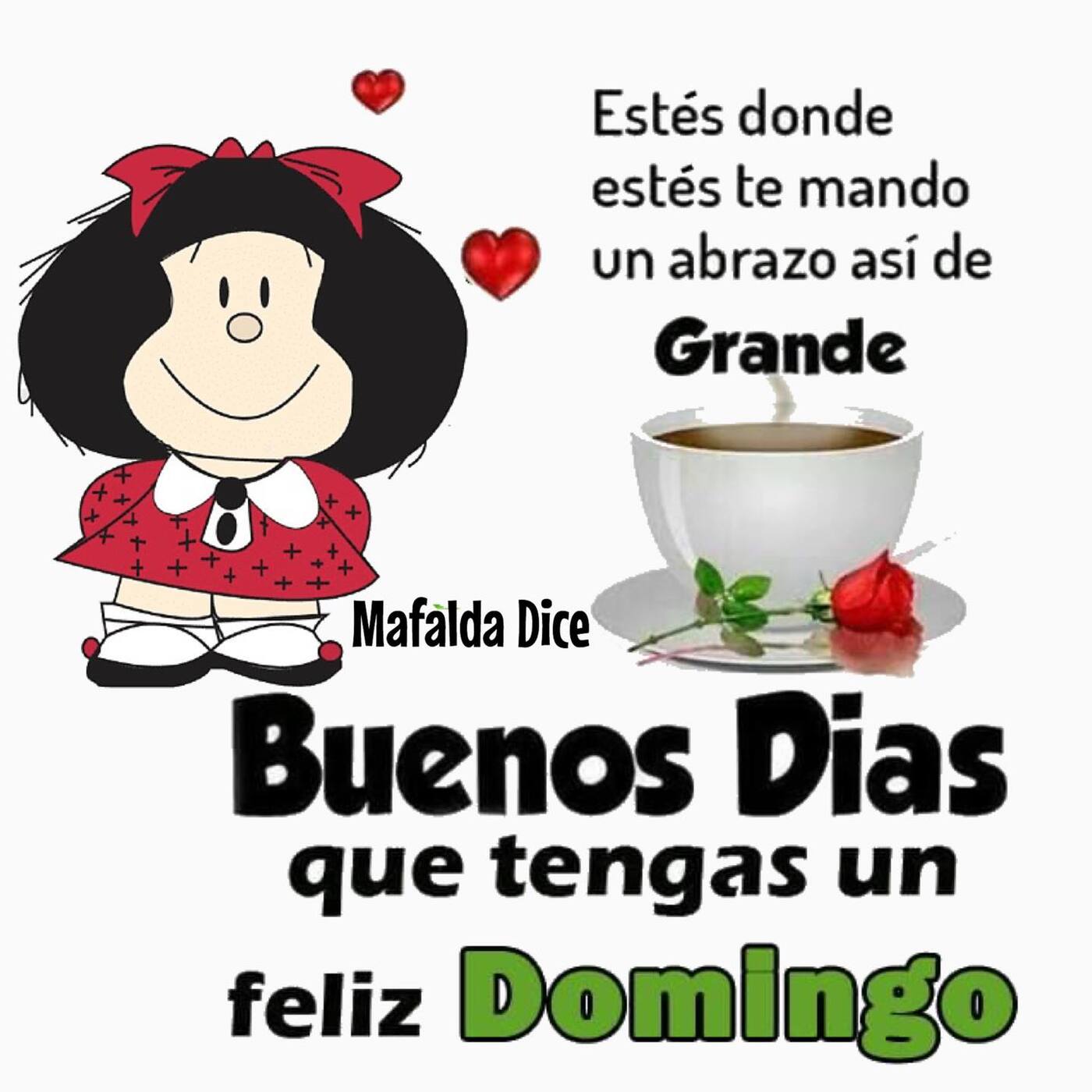 Hola Feliz Domingo a todos mis amigos - ImagenesMuyBonitas.net