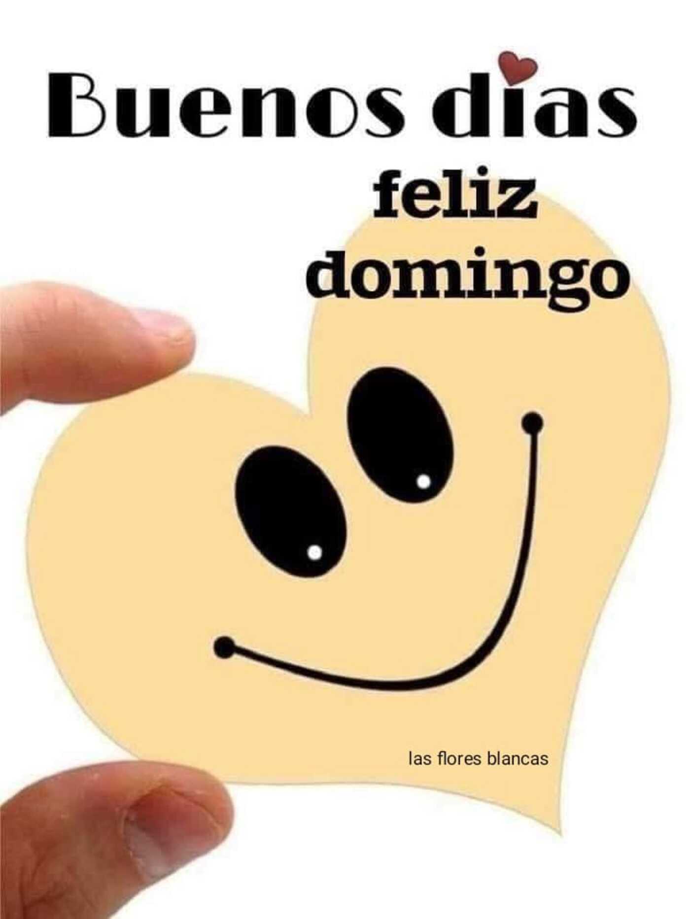 Hola Feliz Domingo a todos mis amigos - ImagenesMuyBonitas.net