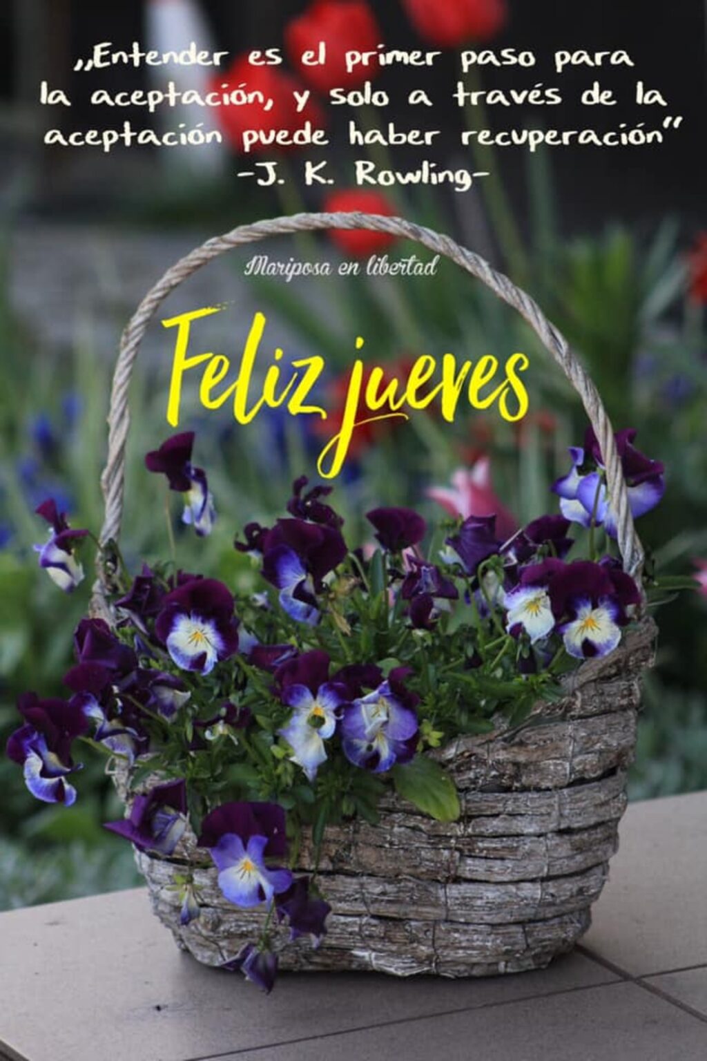 50 Lindas Imágenes De Feliz Jueves 4999