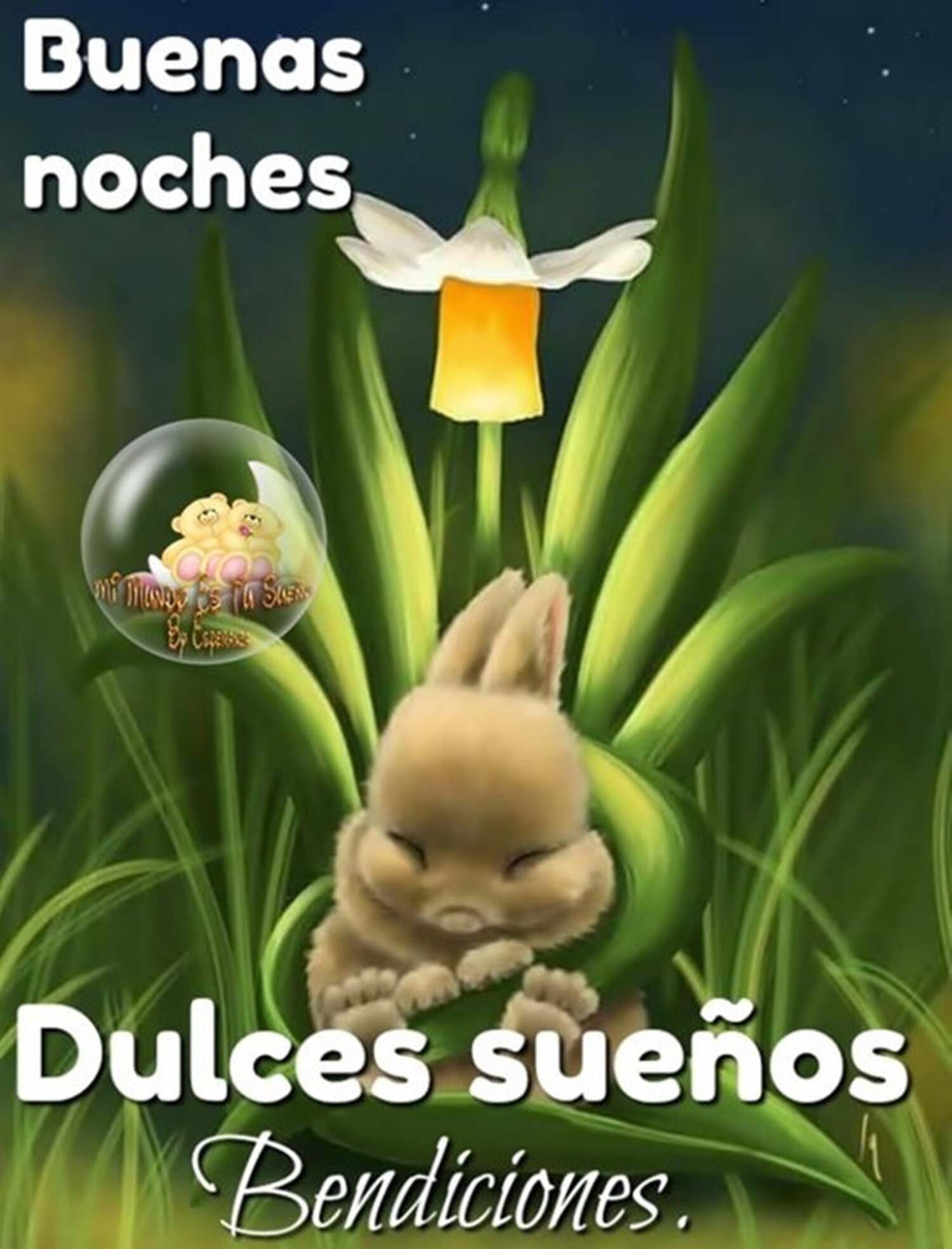 41 Buenas Noches Hasta Mañana Amigos