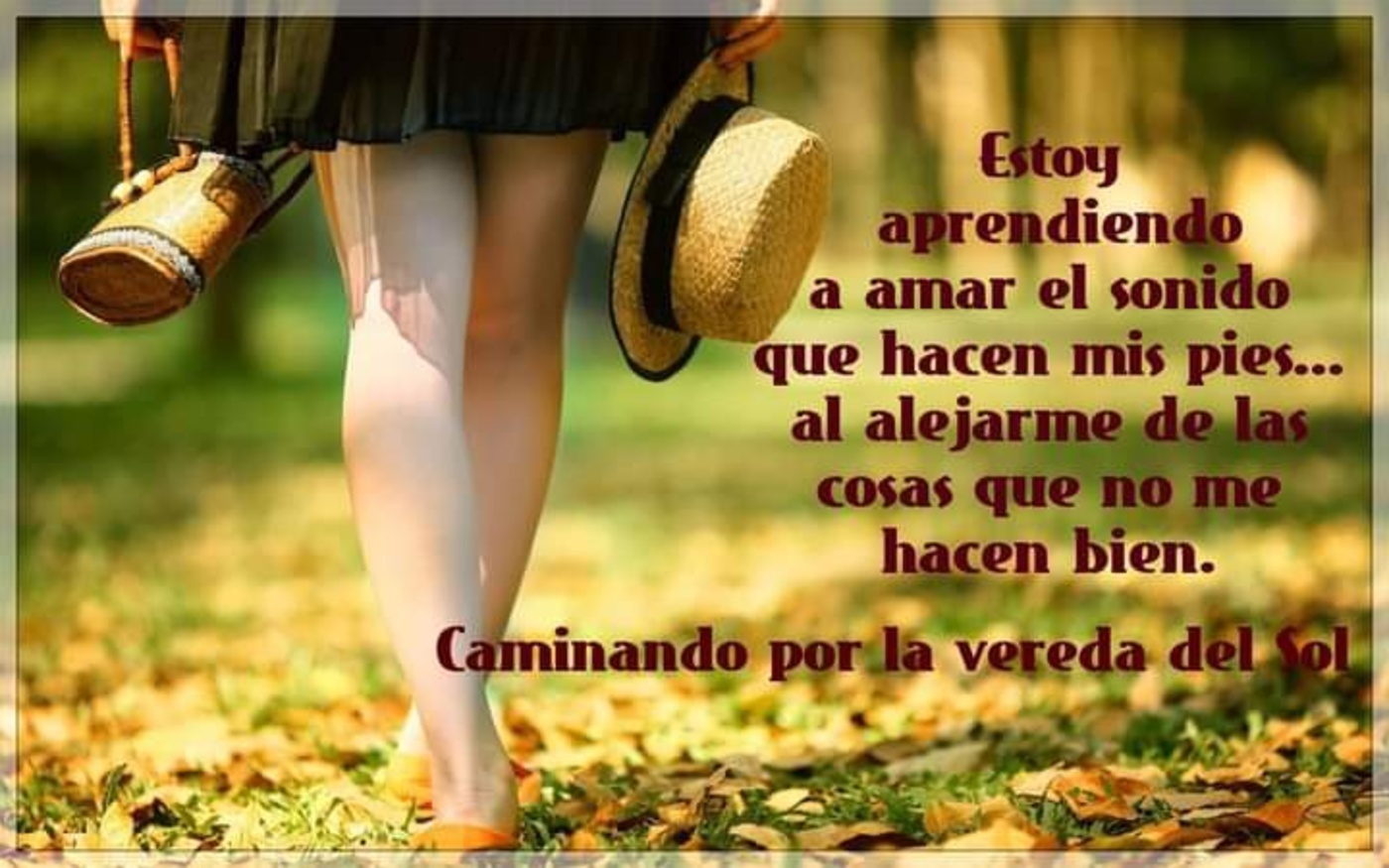 42+ Frases Bonitas Para Reflexionar - ImagenesMuyBonitas.net