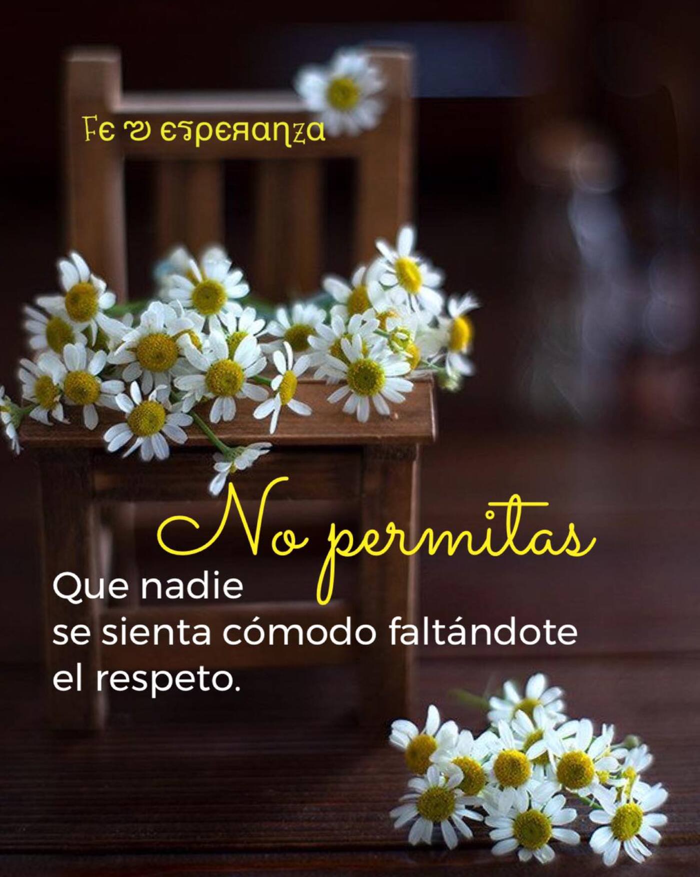 42+ Frases Bonitas Para Reflexionar - ImagenesMuyBonitas.net