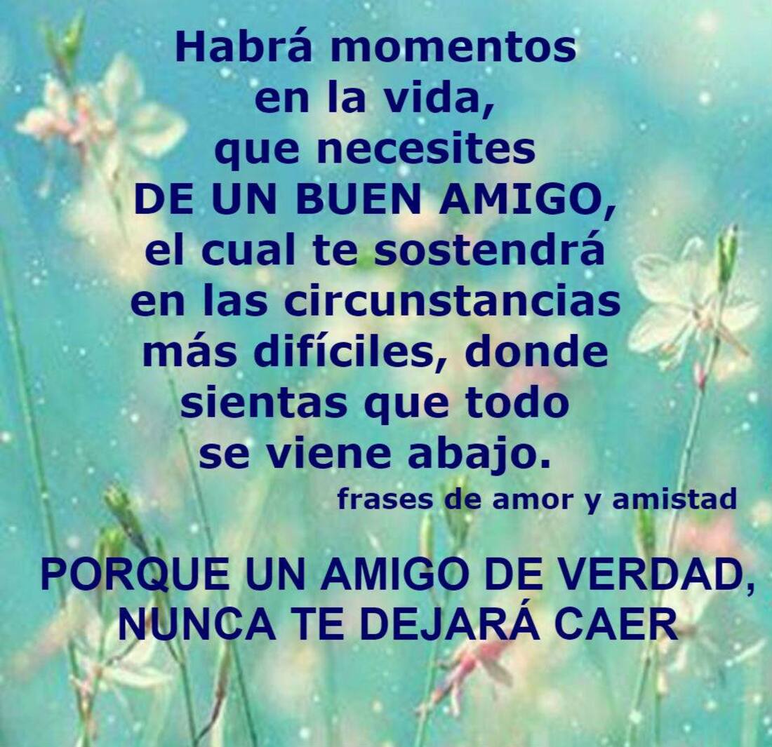 55+ Frases de Amistad para compartir gratis - ImagenesMuyBonitas.net