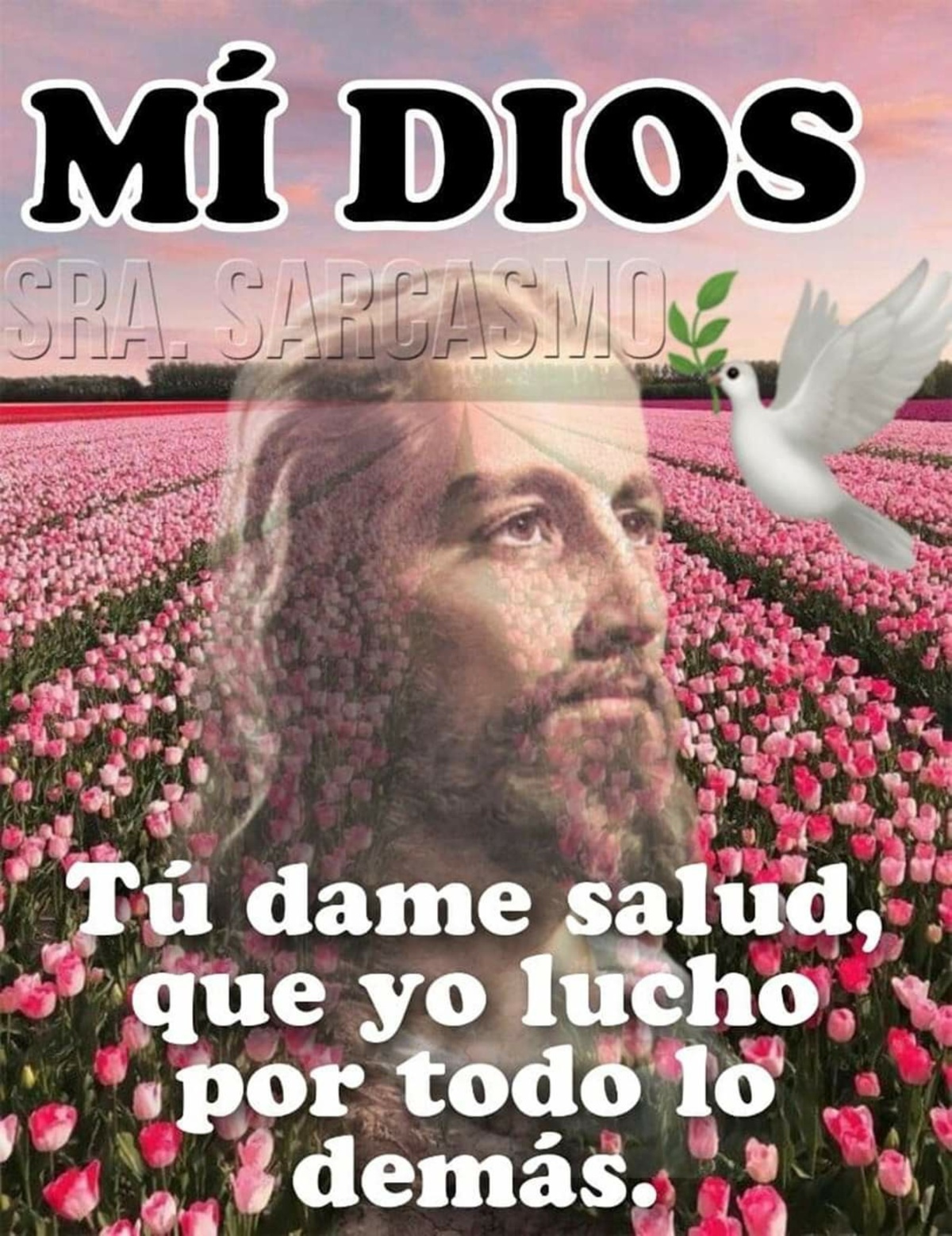 Frases Religiosas Para Facebook Imagenesmuybonitas Net