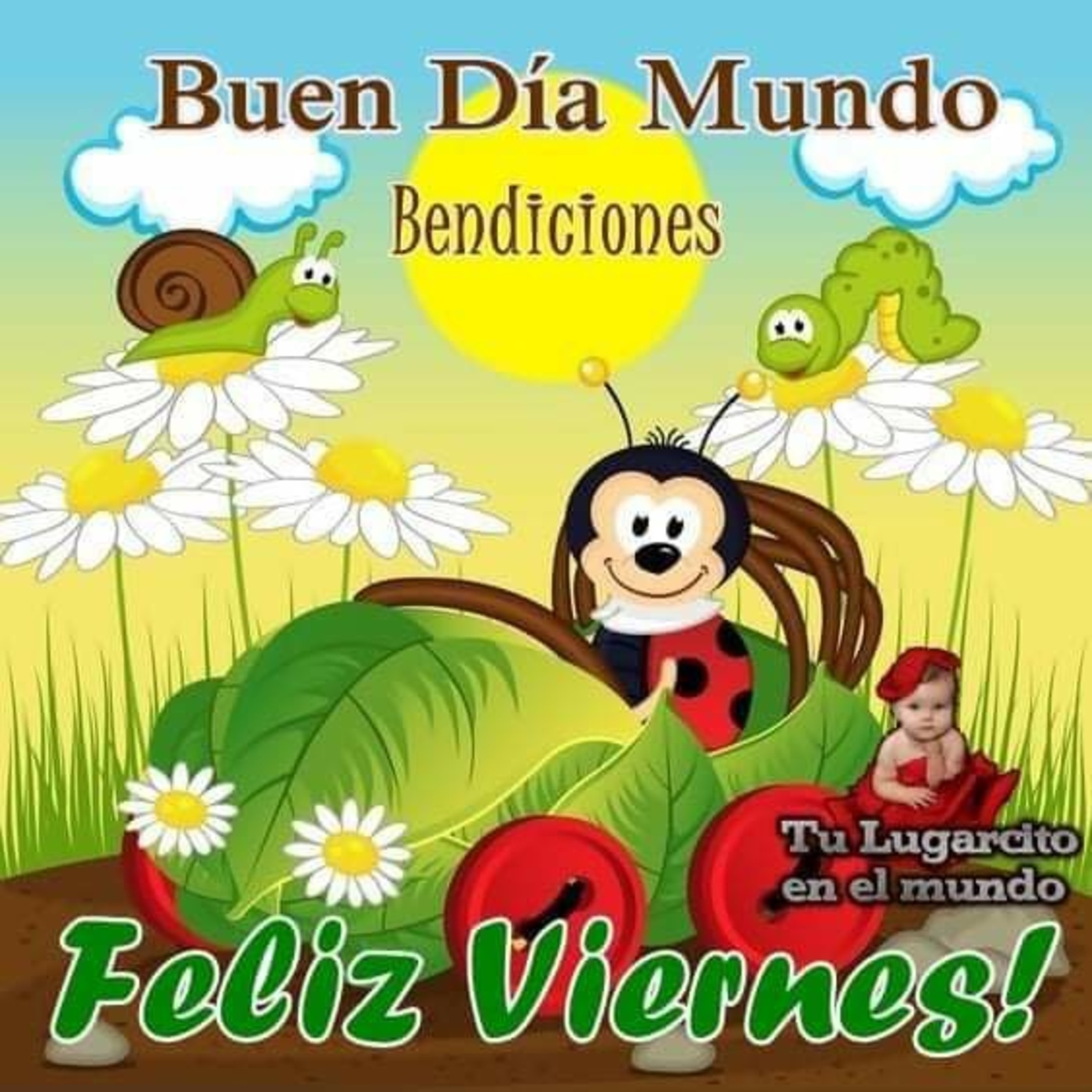 45 Buenos Días Feliz Viernes Imágenes 2774